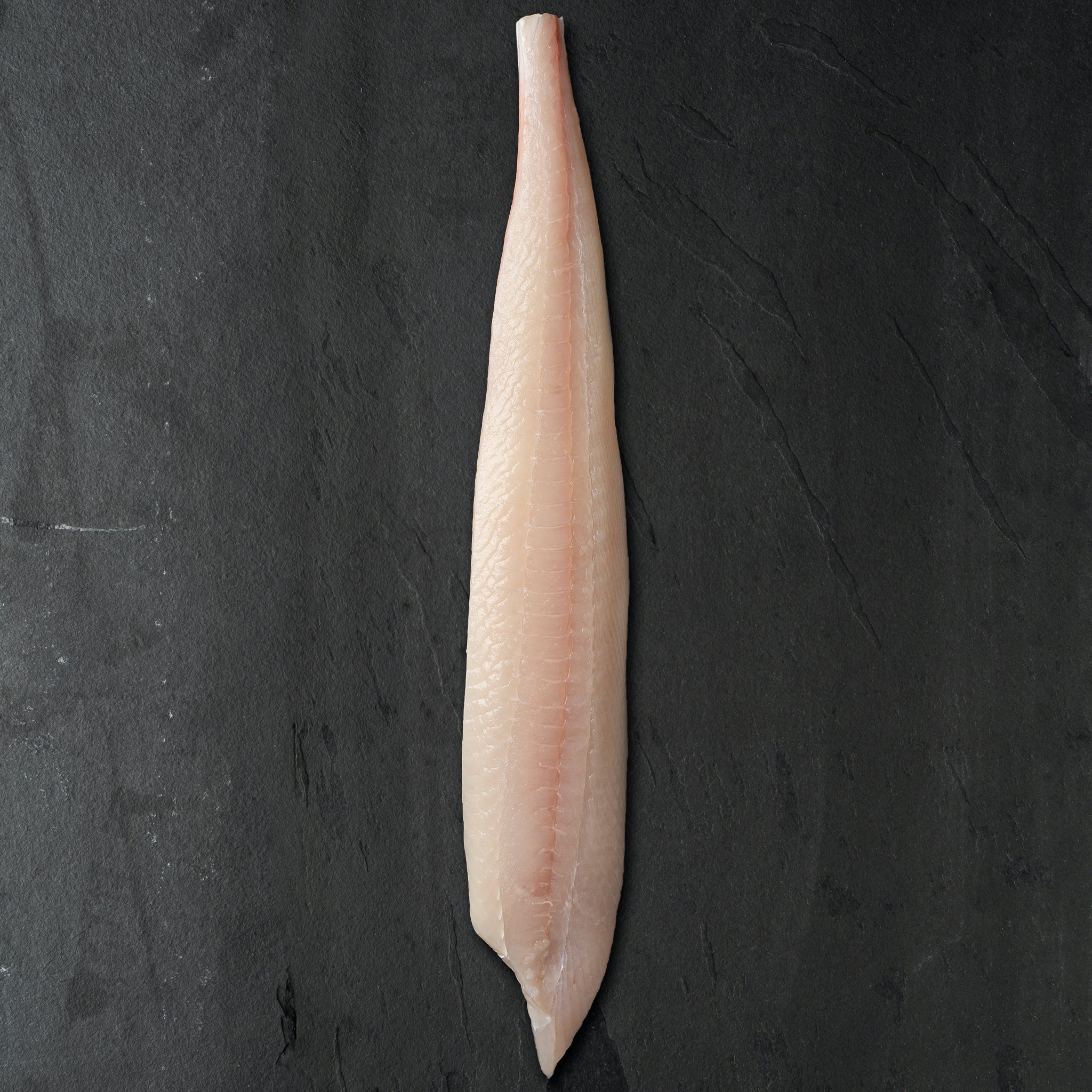 Wild BC Halibut Fillet