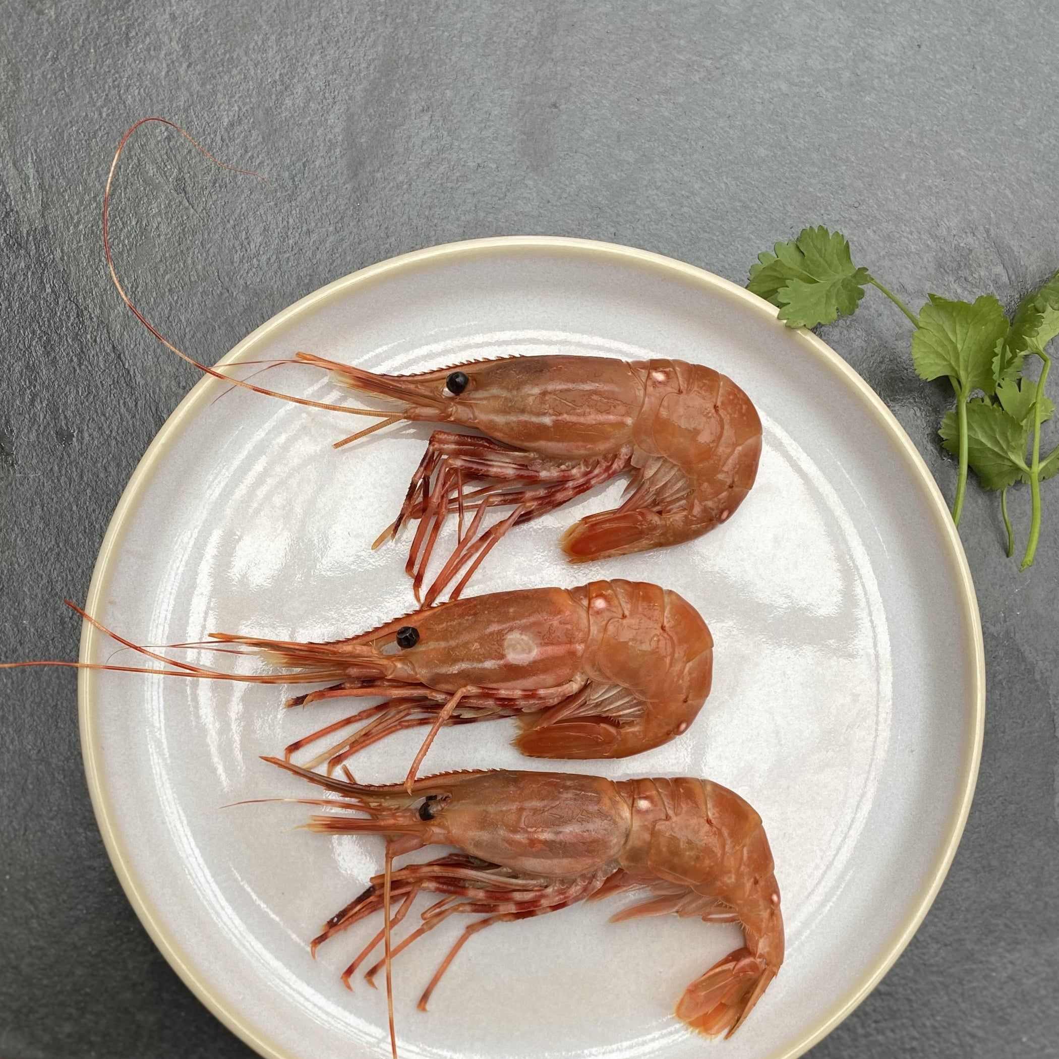 Spot Prawns (seasonal)